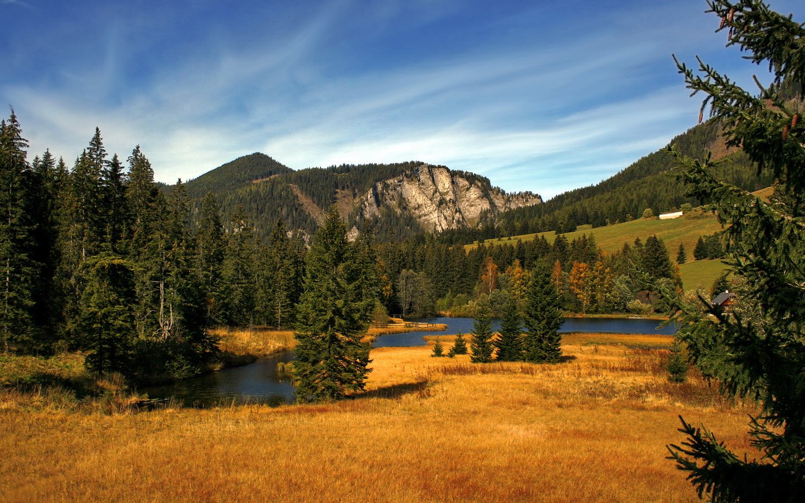 im电竞网页版-梅斯主场力克雷恩，连续取得胜利状态回暖，梅斯和雷恩的比赛