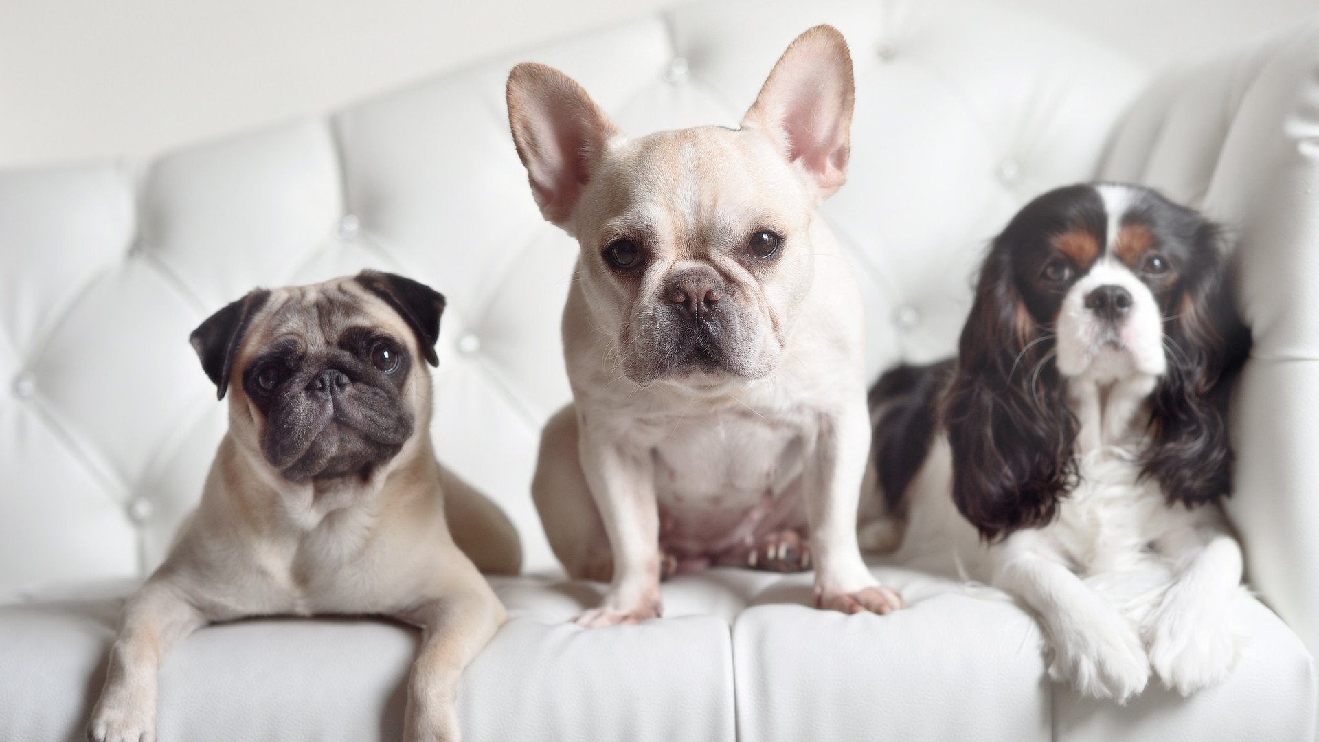 im体育官方登录网站入口-热刺迎战阿森纳，伦敦德比将会如何收场？，热刺前瞻_伦敦德比冲4连胜 孙兴慜凯恩p