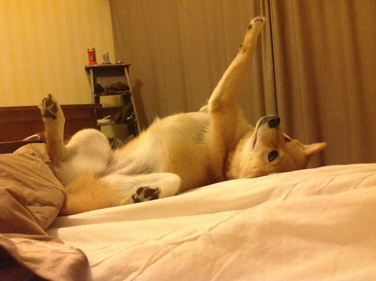 意甲青训结合空间导航训练强化球员局部压迫判断,意甲青训怎么算