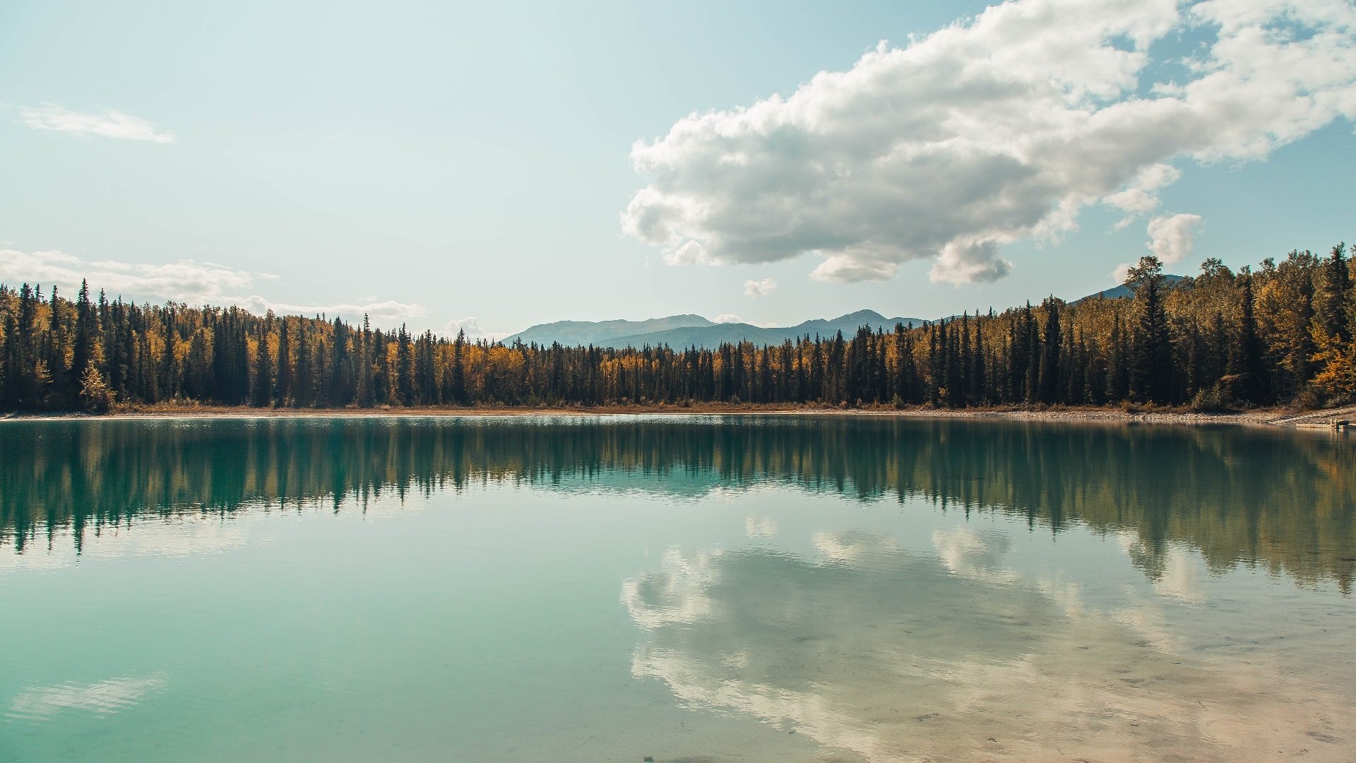 im体育网站-排球超级联赛季后赛对阵揭晓，2020-2021排超联赛最佳阵容