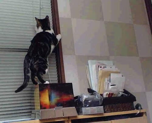 im体育官方登录网站入口-马竞体能储备或成比赛关键差异，马竞体能教练