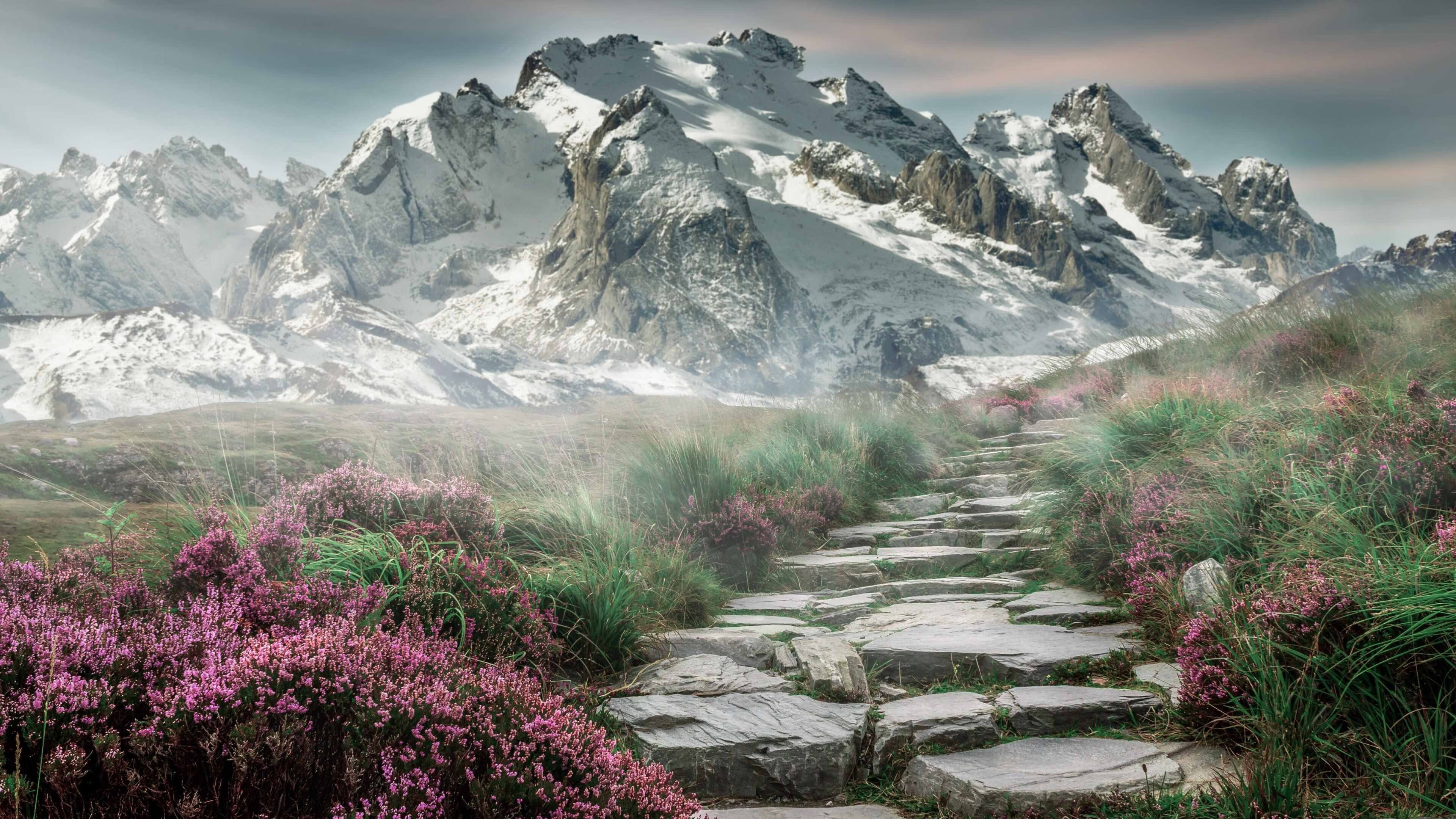 im体育在线登录入口地址-世界青少年冠军赛，法国队和加拿大队争锋天下，青春激荡，世界级青少年比赛