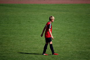 im电竞官网-中国足球职业俱乐部球员转会市场活跃度提升，中国足球协会球员身份与转会管理规定