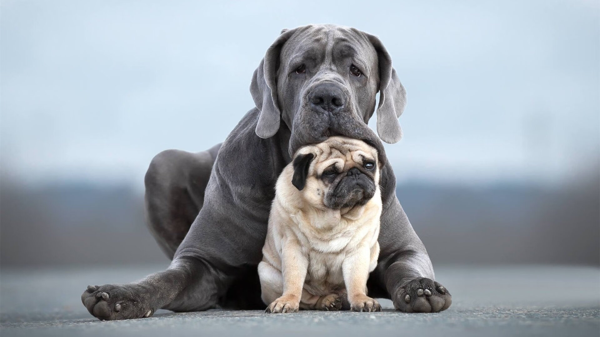 俱乐部管理层召开发布会公布球队未来发展战略规划，各大俱乐部球员